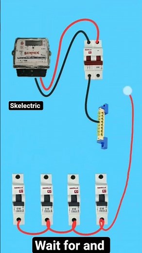 Complete Home Wiring Setup: Energy Meter to Distribution Box | MCB and Neutral Link Connection Guide