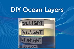 DIY Ocean Layers: Explore Undersea Zones!
