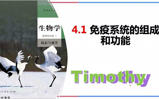 【2023选择性必修1】4.1免疫系统的组成和功能三道防线免疫防御免疫自稳免疫监视器官细胞淋巴细胞因子新高考生物学全国新课标网课选修一稳态与调节神经调节