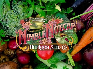 Cushaw Green Striped Heirloom Pumpkin Seeds - Striped Kershaw, Tennessee Sweet Potato, Organic, Non-gmo - Etsy