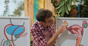 Les appareils reproducteurs féminin et masculin