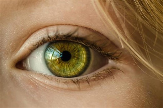 Study finds way to ‘reboot’ eye and restore impaired vision