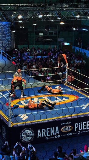 Si te gusta la lucha libre, esta es la cuenta que siempre buscaste 🔥🔥#luchalibremexicana #wrestling #cmll #cmlldeluchalibre #fyp