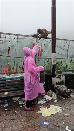 De charna Da pyar maye Ni rakh le sevadar Tere Pawan vich kara Naukri Jai Mata Di 🙏🌺🌺🌻