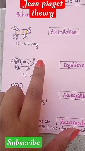 Jean Piaget cognitive theory / schema