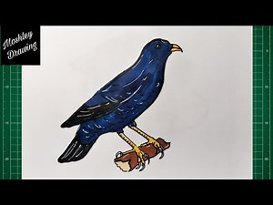 How to Draw a Satin Bowerbird