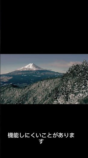 青木ヶ原樹海（あおきがはら じゅかい）