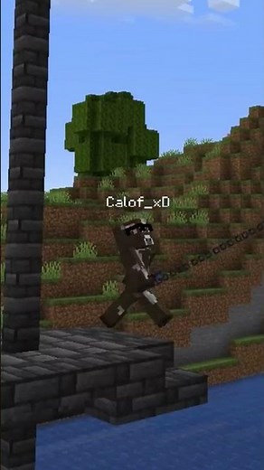 Terraria-style hook, not Minecraft Toffy's Hooks Mod