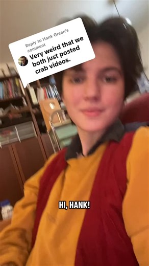 137K views · 1.3K reactions | @hankgreen @mndiaye_97    #storytime #science #funny #mindblown #whales | OddPride | Facebook