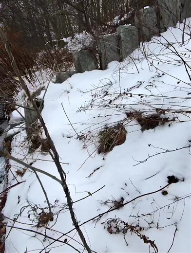 testing water to find main break.