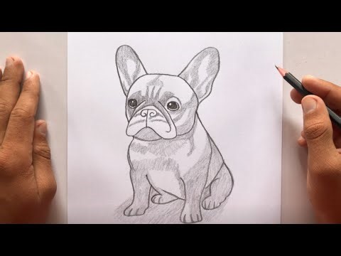 Drawing French Bulldogs in Every Art Style