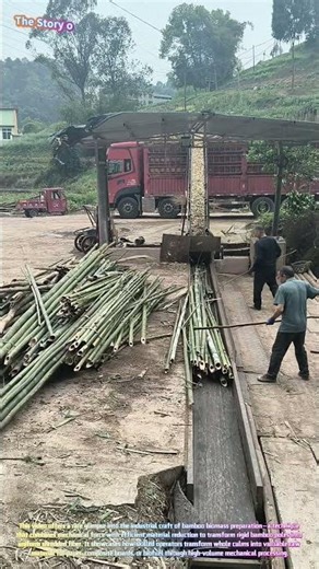 Bamboo Processing: Watch a Heavy-Duty Chipper Transform Whole Culms into Fine Shavings! 🎋⚙️