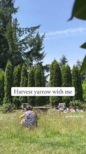 Niki Harris (@nikiharris0)’s videos with What’s Going On?! - Madilyn Mei