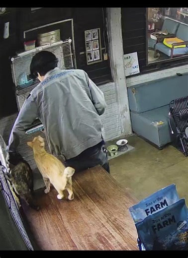 วิดีโอของ อยู่ๆก็กลายเป็นทาส (@lion_li.r) พร้อมเพลง Carmen Habanera - Abaco Tango Club