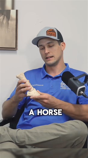 NEW EPISODE 🚨 Dr. Alberto Rullan brings on a special guest, Dr. Colton Ramstrom, to discuss everything you need to know about equine arthritis and why it is the most common lameness in a horse. Stay tuned to get the inside scoop about everything surrounding arthritis, as well as recommendations for the best arthritis treatment for your horse! This will be a 3-parter! 3️⃣! | Equine Performance Innovative Center: EPIC