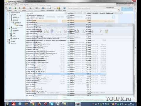 Как открыть файл djvu