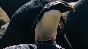 Ready to embark on a thrilling adventure, but not sure where to start? Joining a guided tour could be the perfect solution! A guided adventure tour offers a well-curated itinerary, personalized attention, and insider knowledge to ensure you get the most out of your adventure. http://activeadventures.com?utm_campaign=meetedgar&utm_medium=social&utm_source=meetedgar.com Whether you're a seasoned traveler or a first-time explorer, a guided tour can offer the perfect balance of adventure and comfort