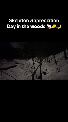 Skeleton Appreciation Day Vocal Cover