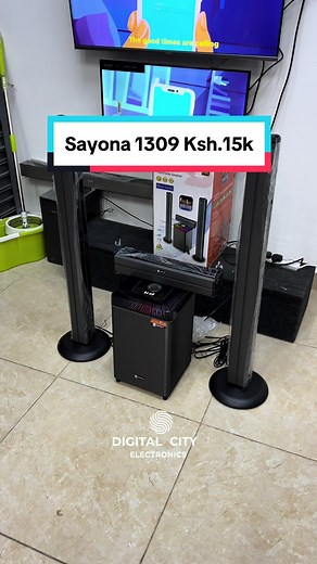 Sayona SHT1309 Woofer - Electronics and Music System Review