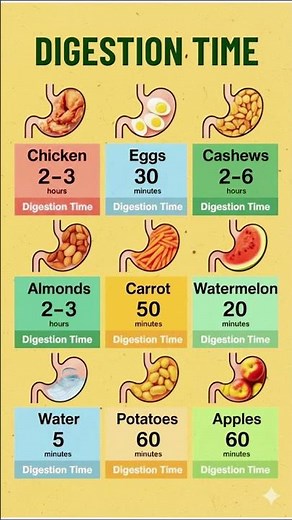 How Long Does It Take to Digest Different Foods? 🍎 | Digestion Time Explained #healthyfood