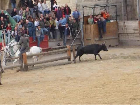 Un taureau saute dans les gradins et s'échappe !!