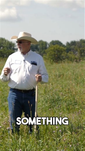 2.7K views · 20 reactions | Curious how cattle management and forage...