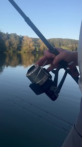 Control mono in action 🎥 This is the 24lb breaking strain hooked up to a 50lb mirror over in France 🇫🇷 Available in: 🟠 11lb 🟠 18lb 🟠 24lb 🟠 28lb 🟠 33lb Check it out now at your local PB stockist 🎣 #PBproductsuk #PBproducts #Mostwanted #daretobedifferent #controlmono #fishingline | PB Products UK