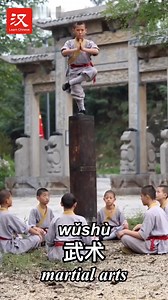 20K views · 579 reactions | Meet the future legends of Shaolin martial arts (武术 wǔshù)! For these young warrior monks, the path to greatness is paved with sweat and dedication. #Talent #Heritage #脉动中国 | Learn Chinese | Facebook