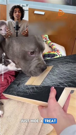Your dog is doing his own nail trims