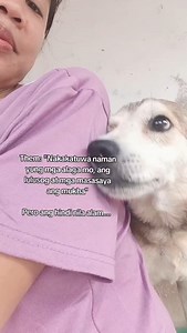 357 reactions · 5 comments | When I rescue and adopt a dog (or a cat), one of my goal is to put back the smile on their face 梁❤ Lolo choco rescue story highlights | ASPIN tunay at tapat | Facebook