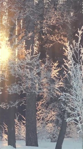 A Frostbitten Fairytale