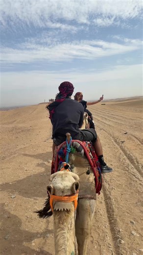 K A I R O 🇪🇬 #pyramide #kamel #egypt #viral #fyp