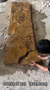 Give your courtyard a timeless upgrade with the magic of natural stone—where landscape design and outside design shine! Sturdy paving stones create seamless natural stone flooring, while striking stone walls and curated landscape stones add character to your patio landscape. Every courtyard stone element blends functionality with decor charm, turning ordinary outdoor spaces into inviting retreats that stand the test of time. Whether you’re revamping with landscape stones or crafting cohesive out