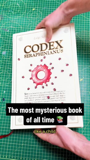 TikTok - Make Your Day