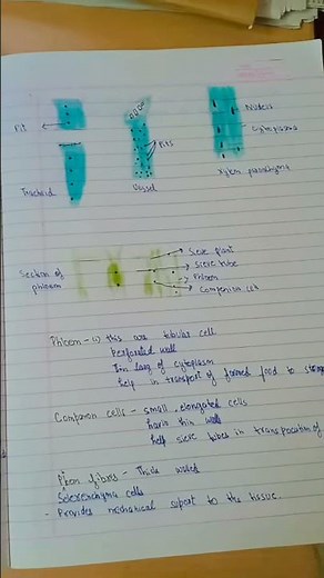 tissue # class 9 # part 1💖,Notes 😄