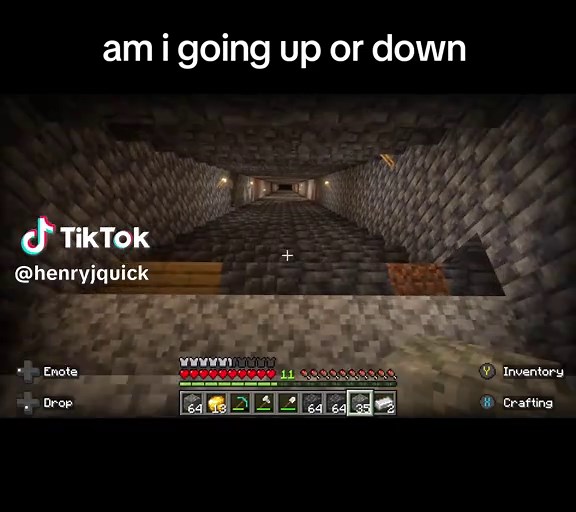 Exploring Minecraft? Discover Optical Illusion in Mineshaft