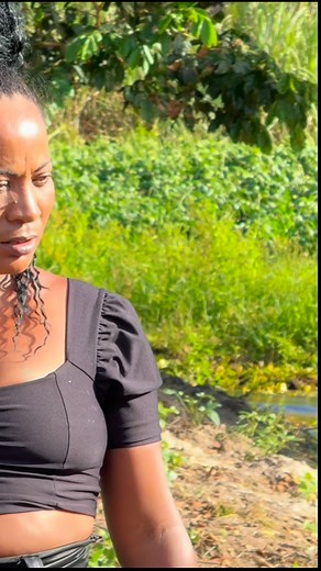 256K views · 8.3K reactions | Ele pergunta se um vaqueiro velho teve aqui na sua fazenda ela disse que sim parte 20 | Marcosetf | Facebook