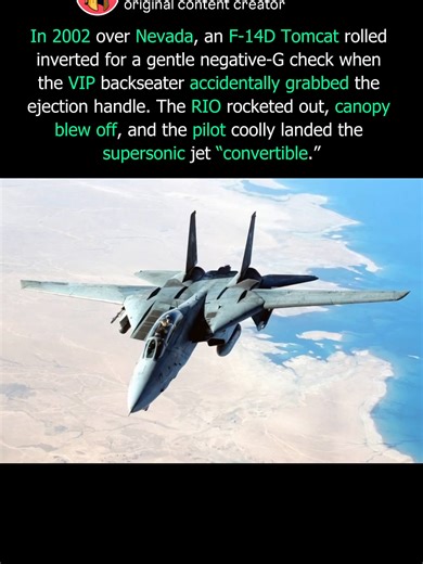 The 2002 F‑14 Tomcat “Convertible” When a VIP Accidentally Ejected Mid‑Flight#Mexico #Indigenous #history #Aztec #Culture