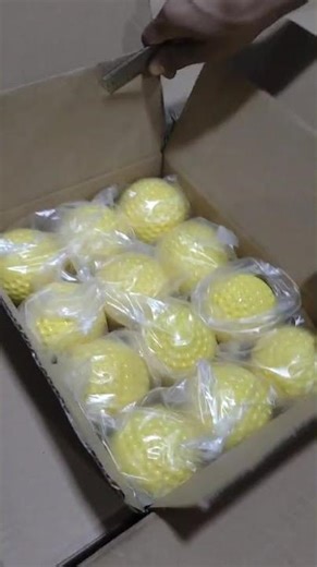 Pu Dimple Cricket Ball machine ball 2 pc | Available on IndiaMART