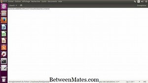 Différence entre Git et SVN La différence entre - Autres 2025