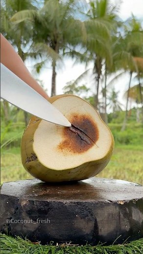 How to Tell If Your Coconut Isn’t Fresh Anymore