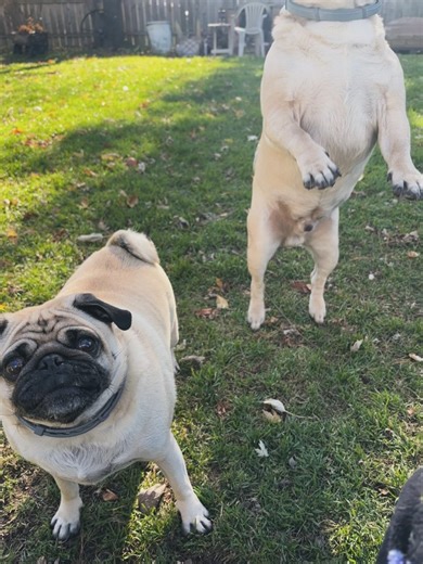 Michaela Garey on Reels