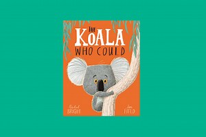 Starting Points: The Koala Who Could — Primary English Education Consultancy
