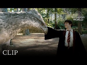 Harry Potter - Flying a Hippogriff - Present Continuous