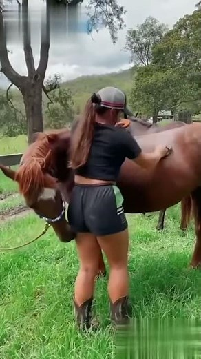 Horse licking girls butt’s