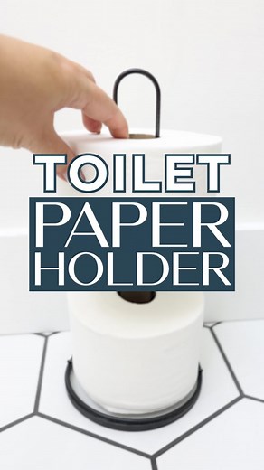 DIY Dollar Tree Bathroom Toilet Holder Hack