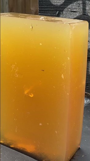 Budget crossbow deer hunting? #shorts (Killer Instinct 405)