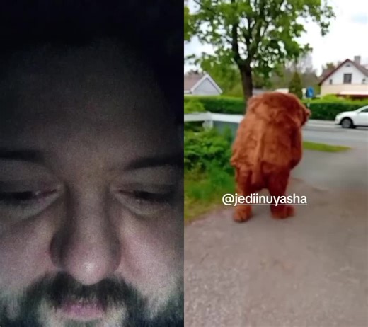 Eric McKinney (@eric.mckinney53)’s videos with originalljud - Pingu