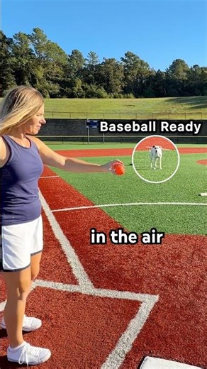 Dog Catches Batted Ball in the air with its 🐾!