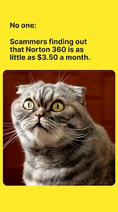 31 reactions · 11 shares | The best way to outsmart scams costs less than you think. 螺 Norton 360 with Scam Protection can save you more ways than one... Get up to 58% off today! #CyberSafety | Norton | Facebook